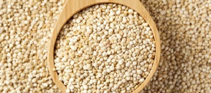 Vejeteryanlar İçin Alternatif Protein Kaynakları