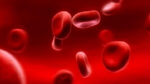 YAŞLI HASTALARDA ANEMİ