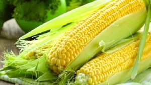 YAZ GECELERİNİN SARI ALTINI: MISIR