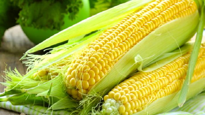 YAZ GECELERİNİN SARI ALTINI: MISIR