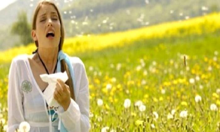 YETİŞKİNLERDE POLEN ALERJİSİ NEDİR ?