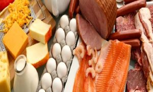 Yüksek Proteinli Diyetler Böbrek Hastalığının Riskini Artırabilir