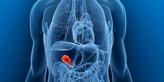 Safra Kesesi Hastalıklarında Sakınılması Gereken Yiyecekler