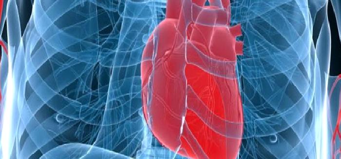 Stent Nedir?