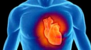 Kalp Kapakları Nelerdir?