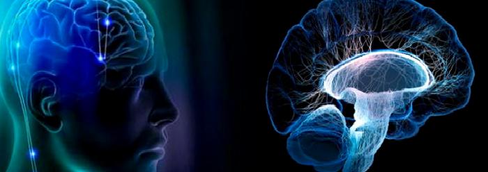 Multipl Skleroz (MS-EMES)