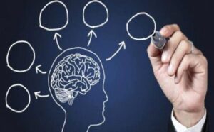 Sağlıklı Bağırsaklar Sağlıklı Beyin