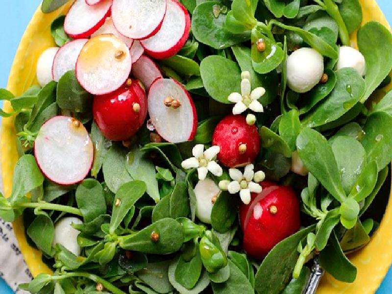 Kişniş Aromalı Semizotu Salatası Nasıl Yapılır?