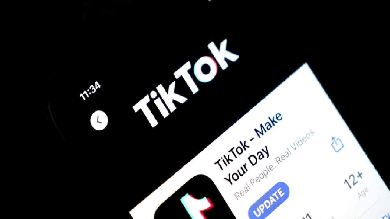 TikTok da kendi sohbet robotunu geliştiriyor: İşte Tako ve yapabilecekleri