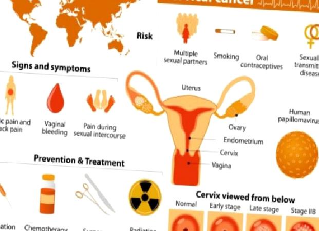 Hpv testleri ve smear testi