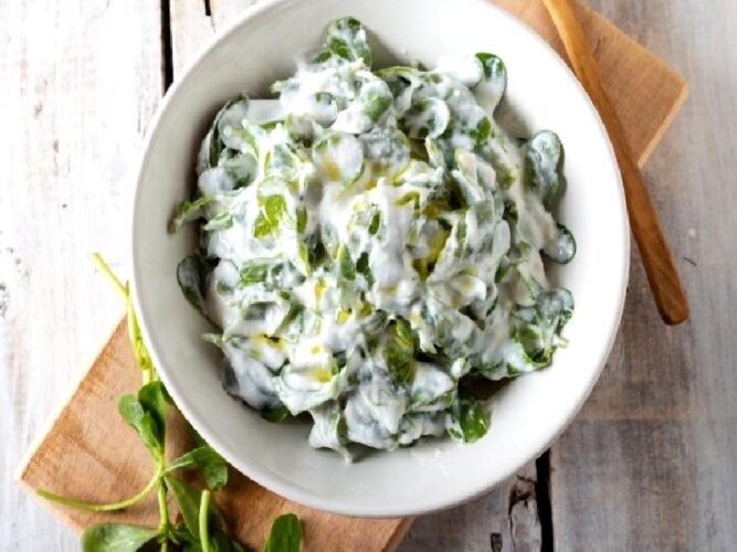 Tavuklu Semizotu Salatası Nasıl Yapılır?