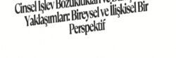 Cinsel İşlev Bozuklukları ve Danışmanlık Yaklaşımları: Bireysel ve İlişkisel Bir Perspektif