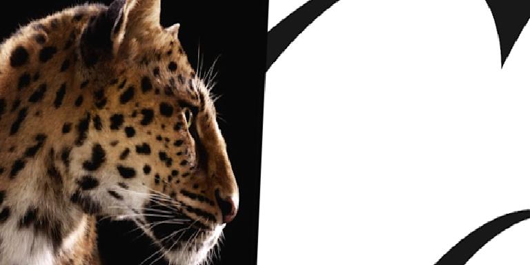 Cartier’nin Panter Figürü Küresel Şehirlerde Yeni Bir Görsel Anlatı Kuruyor