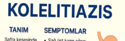 KOLELİTİAZİS (SAFRA KESESİ TAŞI) Hasta Bilgilendirme Metni