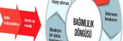 SEVGİ BAĞIMLISI MISINIZ ?