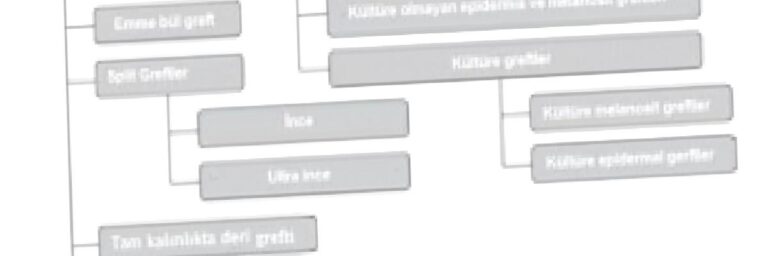 Vitiligo (Ala Hastalığı) Cerrahi Tedaviler