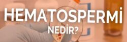 Kanda Sperm: Hematosperm Nedir ve Ne Zaman Endişe Vericidir?